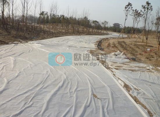 彩色生態(tài)透水混凝土地坪-歐進建材m.yxshs.cn